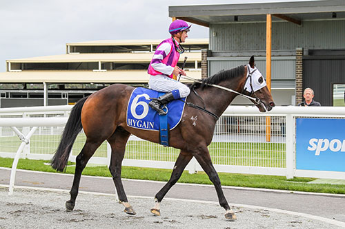 SEBEAT BREAKS THROUGH IN SOLID FASHION AT PAKENHAM..